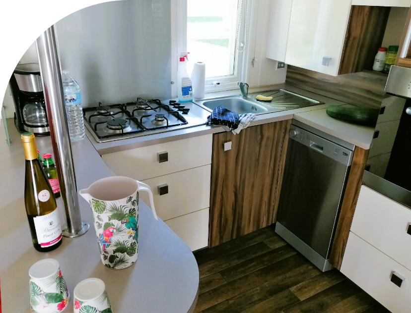 Kitchen in the Privilege mobile home